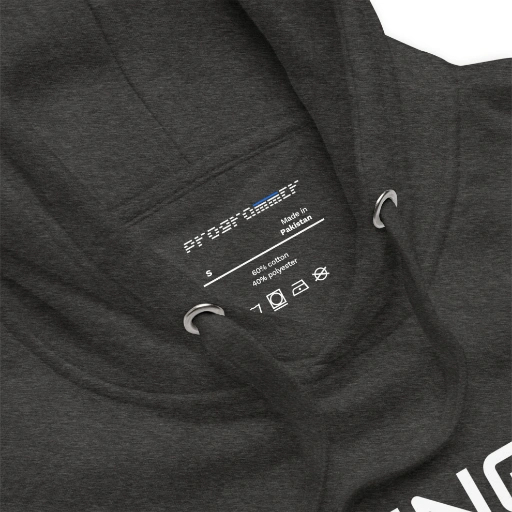 Picture of Coding Saved Me From Being A Pornstar Hoodie