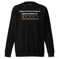 Picture of Behind Every Successful Programmer Sweater