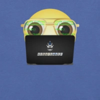 Picture of Programmer Laptop