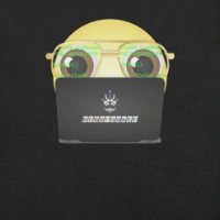 Picture of Programmer Laptop