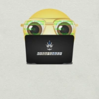 Picture of Programmer Laptop