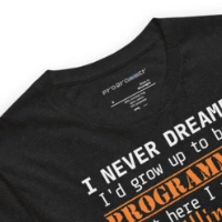 Picture of I Never Dreamed To Be A Programmer Shirt