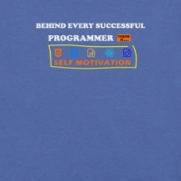 Picture of Behind Every Successful Programmer Shirt