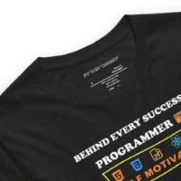 Picture of Behind Every Successful Programmer Shirt