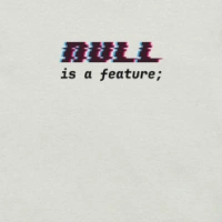 Picture of Null Is A Feature Shirt