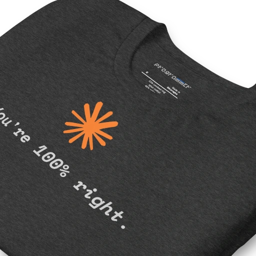 Picture of You're 100% Right Shirt